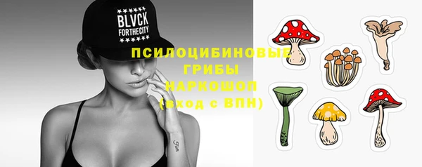 spice Белокуриха
