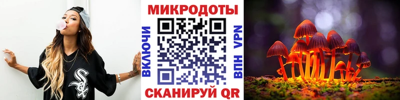 Псилоцибиновые грибы Cubensis  Горячий Ключ 